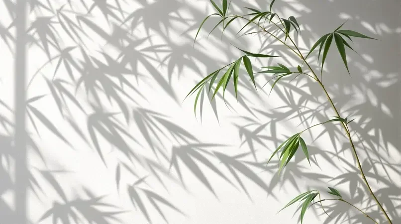 竹影摇风 - 555电影热播影像封面