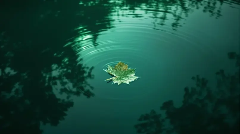 静水流深 - 555电影热播影像封面